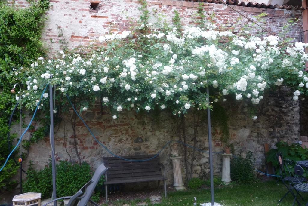 Lori'S Inn Mondovì Dış mekan fotoğraf